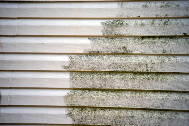Best James Hardie Siding  in Ardmore, AL