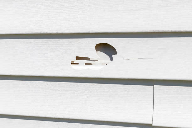 Best Aluminum Siding Installation  in Ardmore, AL