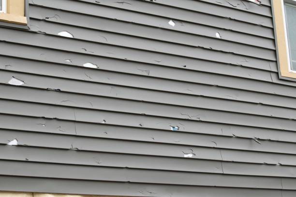 Best Siding for Multi-Family Homes  in Ardmore, AL